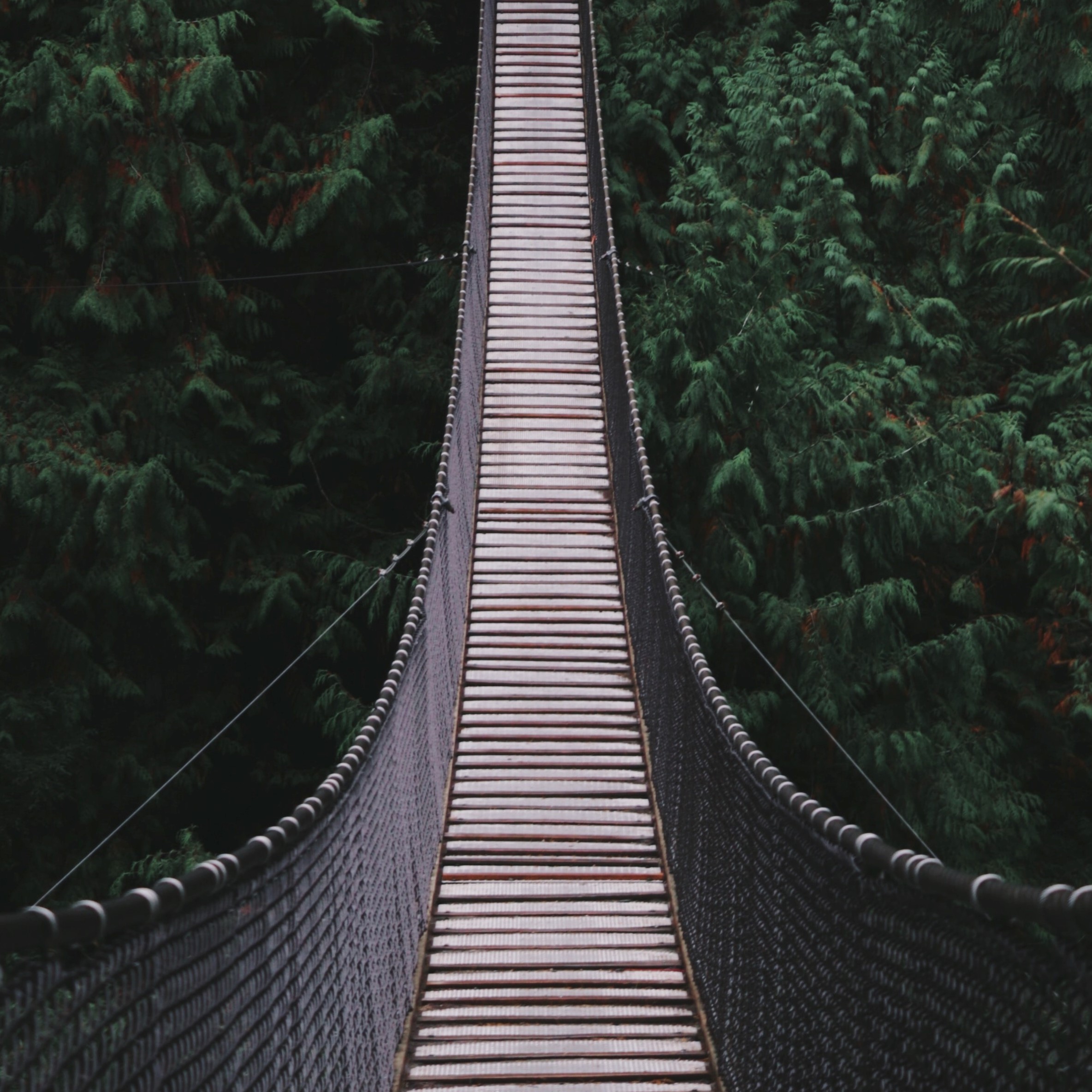 Header_Management-Stream_quadratisch  